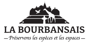 logoBourbansais Noir